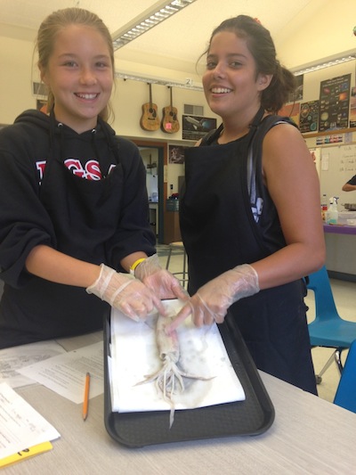 squid