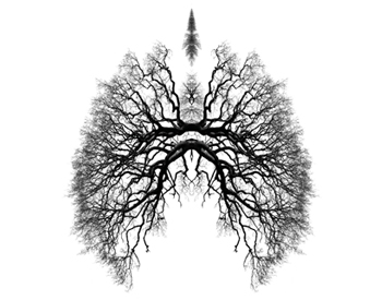 breathe image