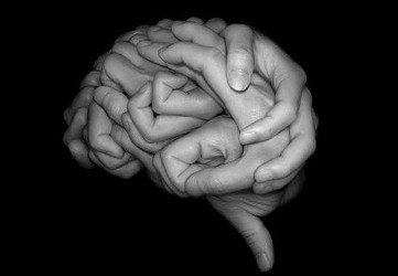 brain image